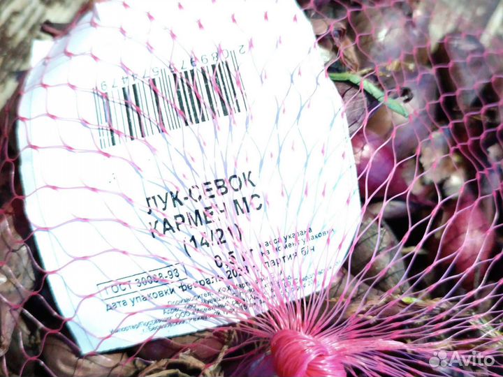 Лук семеной для посадки