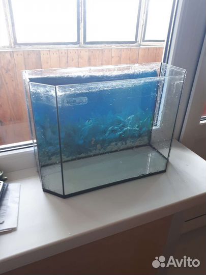 Аквариум