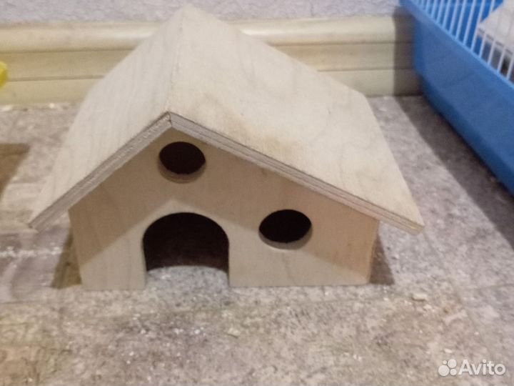 Сирийский хомяк с клеткой