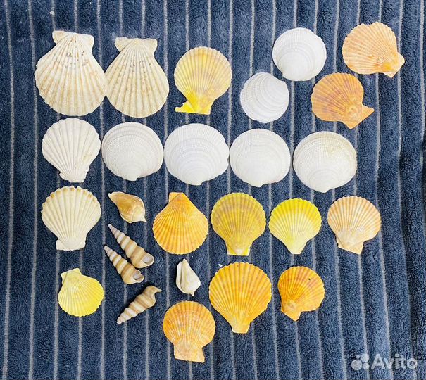 Украшения для аквариума