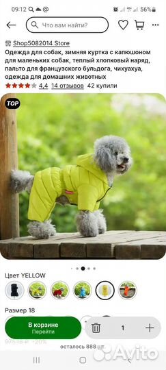 Костюм для собаки