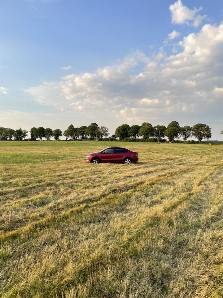 Volkswagen Polo: фото владельца