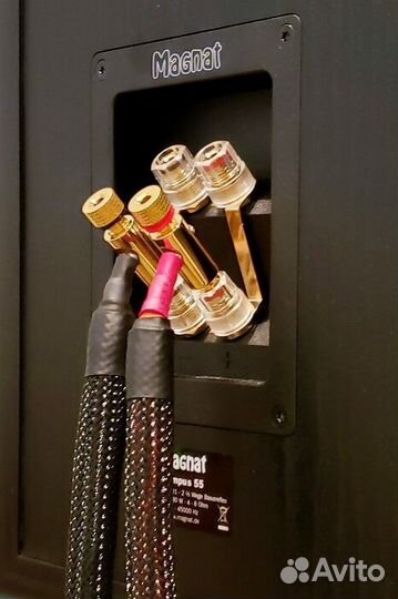 Напольная акустика Magnat Tempus 55 mocca