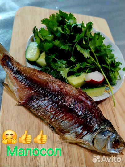 Вобла Трофейная Астрахань Бесплатная Доставка