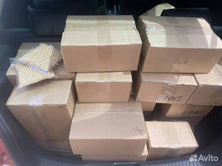 Кедровый орех. Ядро. Офигенное