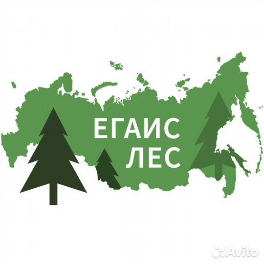 Егаис лес регистрация/обучение/сопровождение