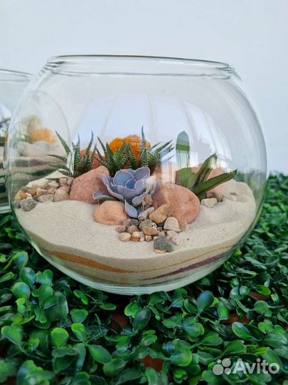 Флорариум в вазе шар 3л