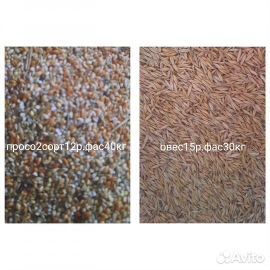 Корма для животных