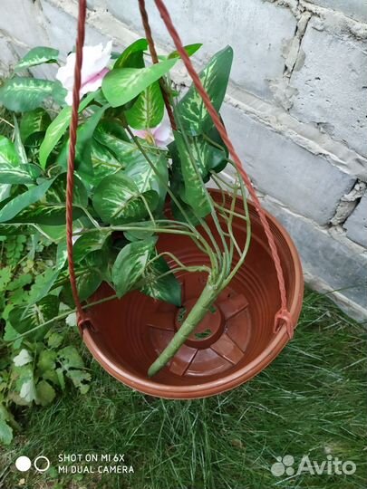 Искусственный цветок горшки пакетом