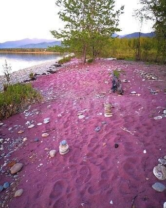 Дом 55 м² на участке 5 сот.