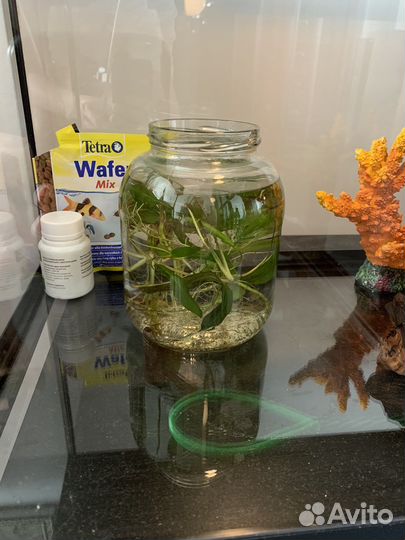 Аквариум Juwel Korallux 60