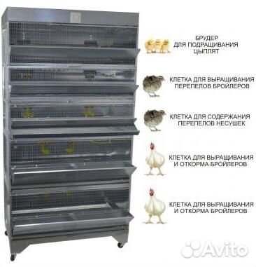 Клетки для бройлеров и перепела