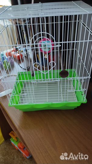 Клетка для попугая бу