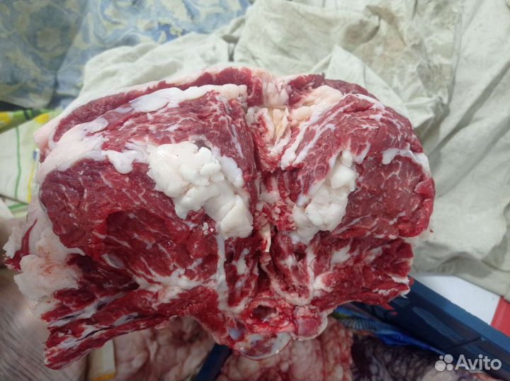 Продам мясо говядина