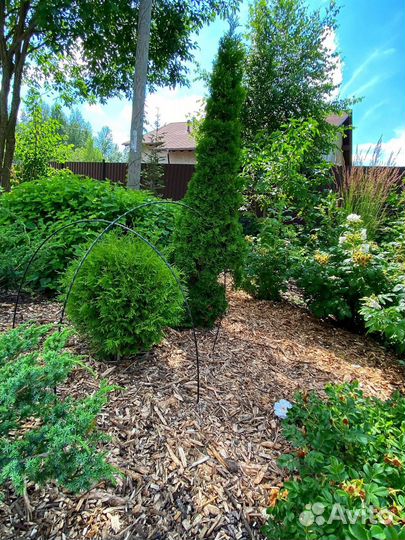 Мульча кора