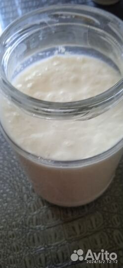 Тибетский молочный гриб