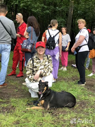 Зоопсихолог