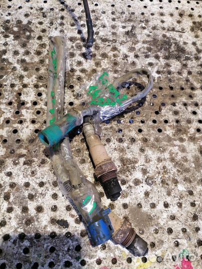 Лямбда зонд Ford Focus