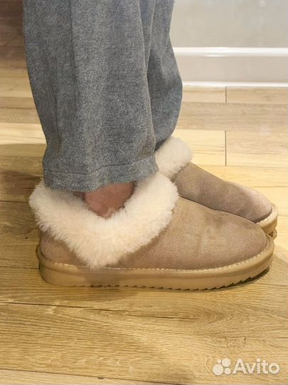 Thomas munz угги