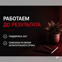 Трудоустройство в it с ментором, Калининград