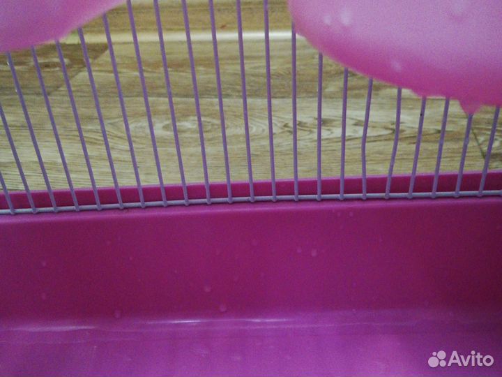 Клетка для грызунов бу