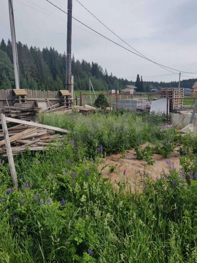 Участок 12 сот. (СНТ, ДНП)