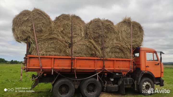 Сено продам В рулонах И В тюках