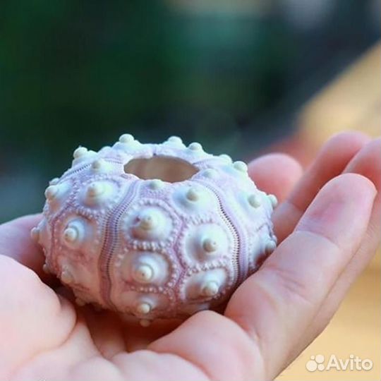 Berger Аромалампа ароматизатор Золото