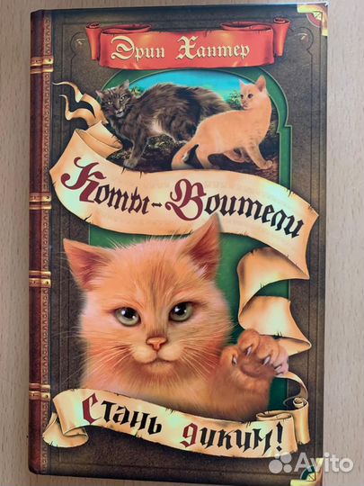 Книга Коты-воители Стань Диким