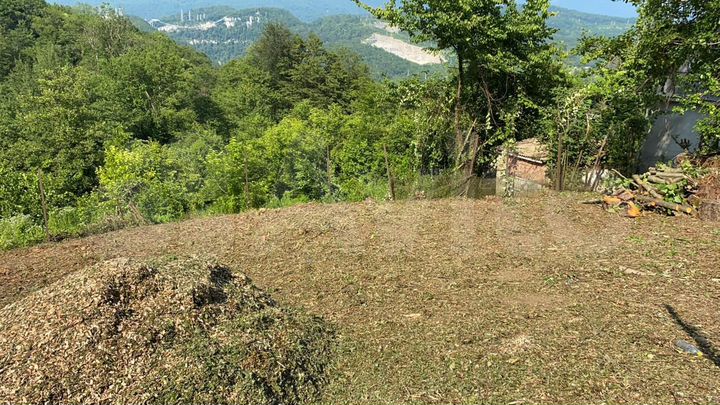 Участок 5,2 сот. (СНТ, ДНП)