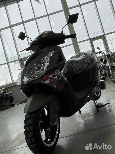 Скутер motoland (мотоленд) paladin sport 200 (150)