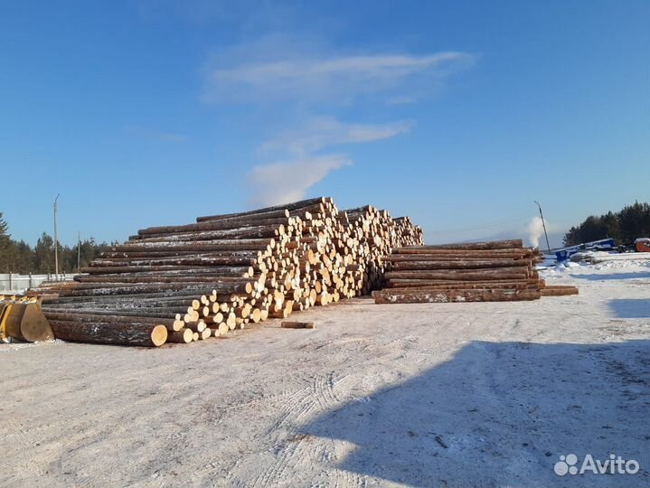 Круглый лес Сосна, Лиственница, Ель, Пихта