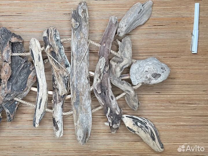 Две черепахи рядом