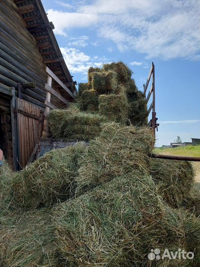Сено в кипах торга нет