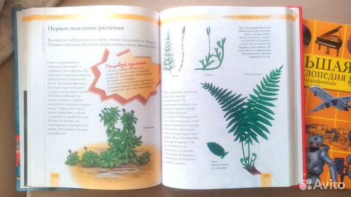 Книги энциклопедии / 2 шт / дети 5-12 лет