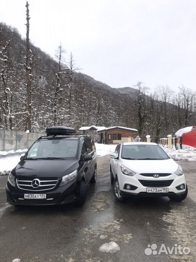 Экскурсии Гид по Сочи и Абхазии Цигун Йога