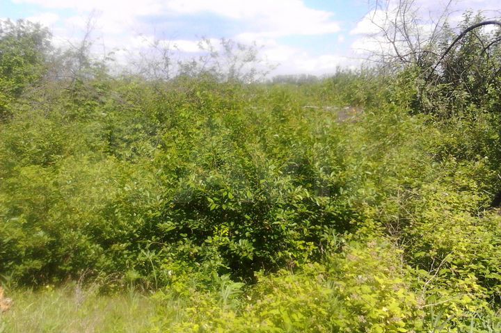 Дача 20 м² на участке 6 сот.