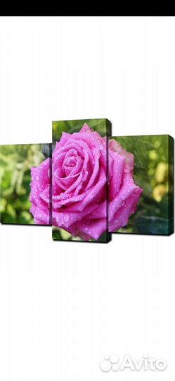 Модульная картина