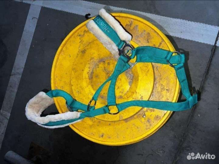 Недоуздок для лошади зелёный