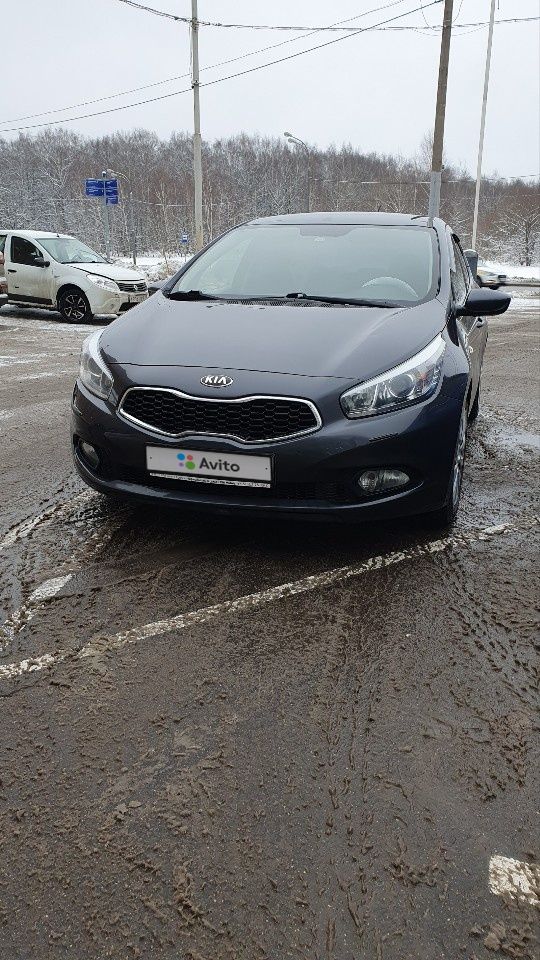 Kia Ceed: фото владельца
