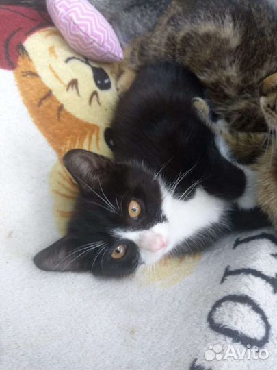 Крошка для души