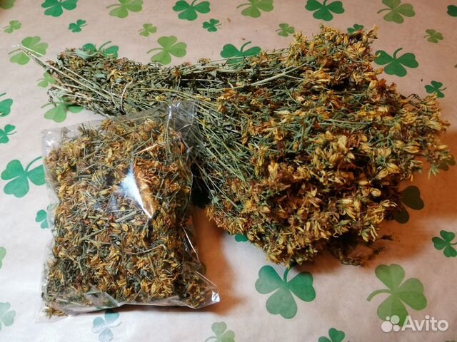 Зверобой сушеный
