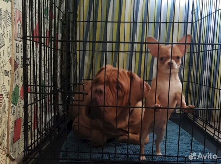 Клетка для большой собаки
