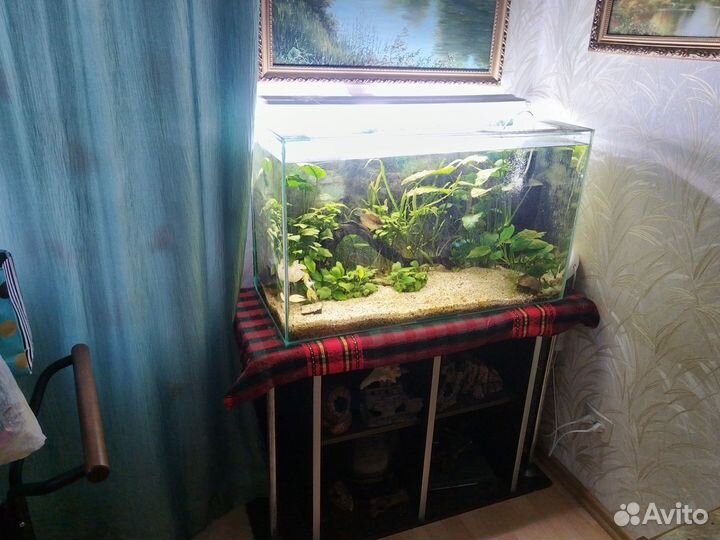 Аквариумы 150л, 25л, 20л, 10л