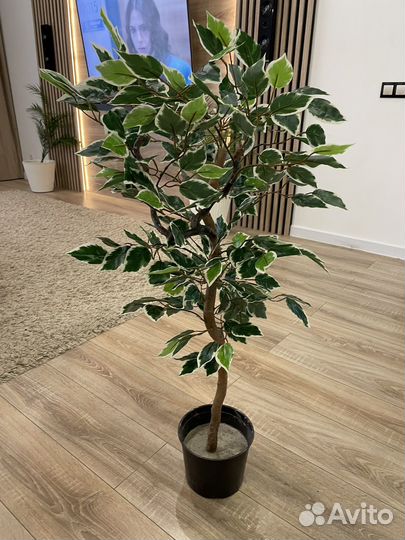 Искусственное дерево, зелень, цветы