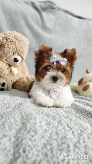 Мальчики и Девочки