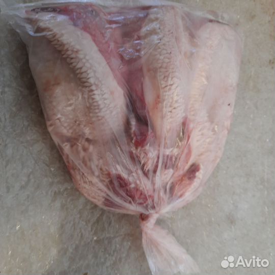 Продам рубец не очищенный для собак