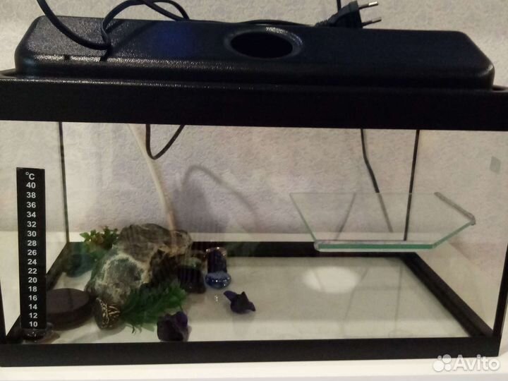 Аквариум, террариум