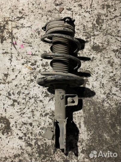 Амортизатор передний левый Nissan Teana J32 VQ25DE