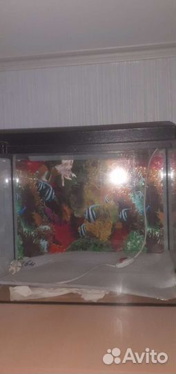 Аквариум